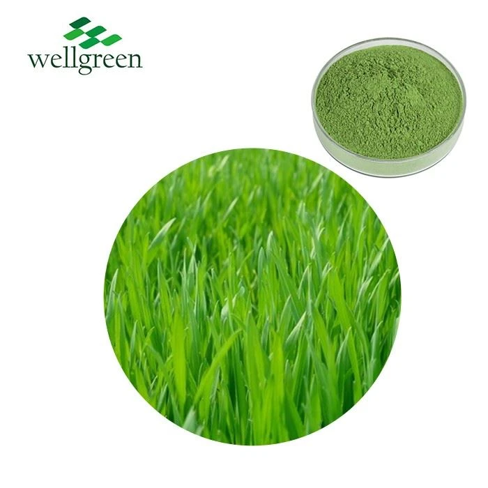 Barley Seedling Extract Powder