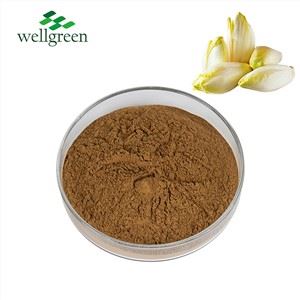 Chicory Extract