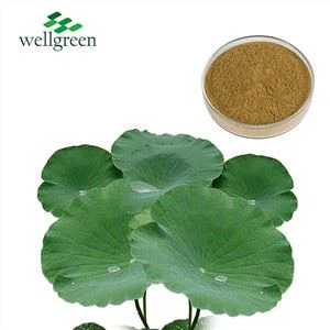 Lotus nplooj Extract